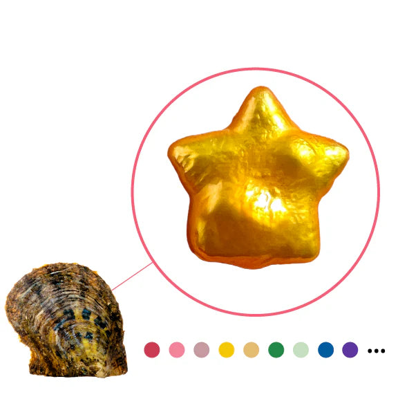 STAR SHAPED PEARL OYSTER