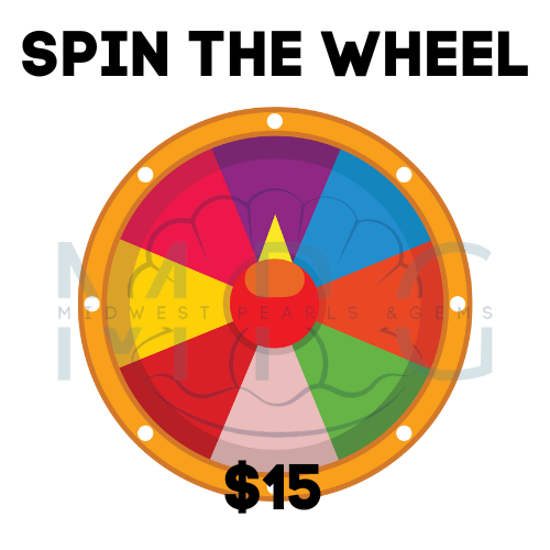 SPIN THE WHEEL