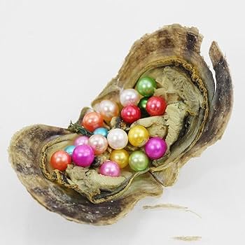 MINI MONSTER OYSTER